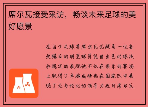 席尔瓦接受采访，畅谈未来足球的美好愿景